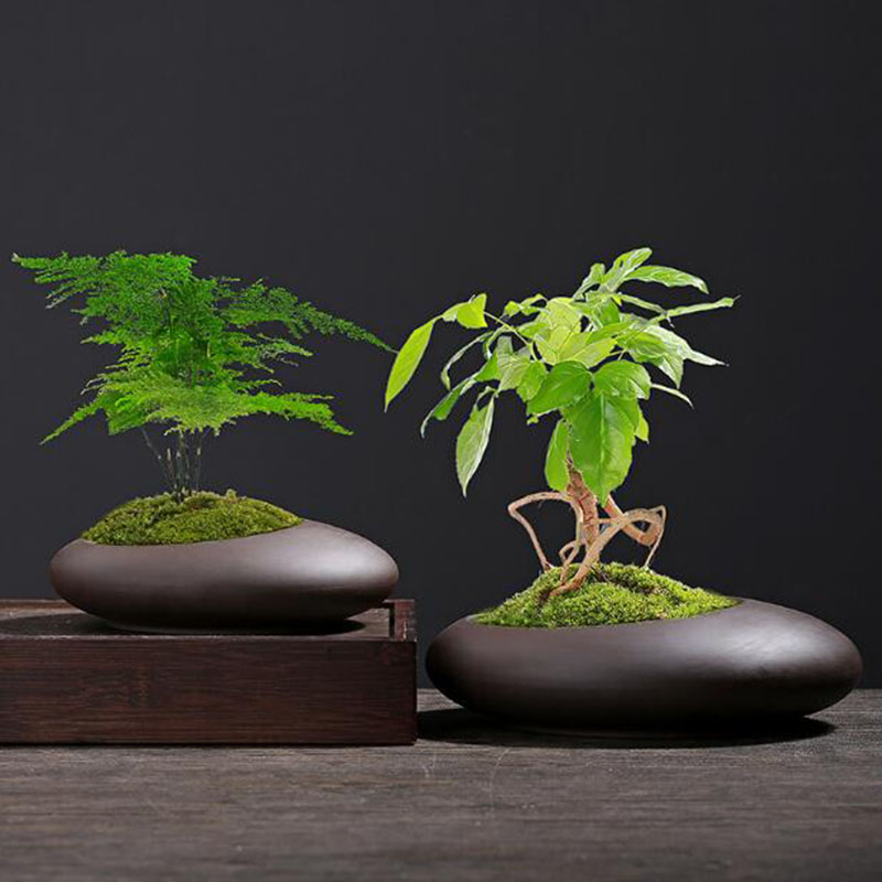 Tagine Clay Pot - 레트로 보라색 점토 화분 중국 스타일